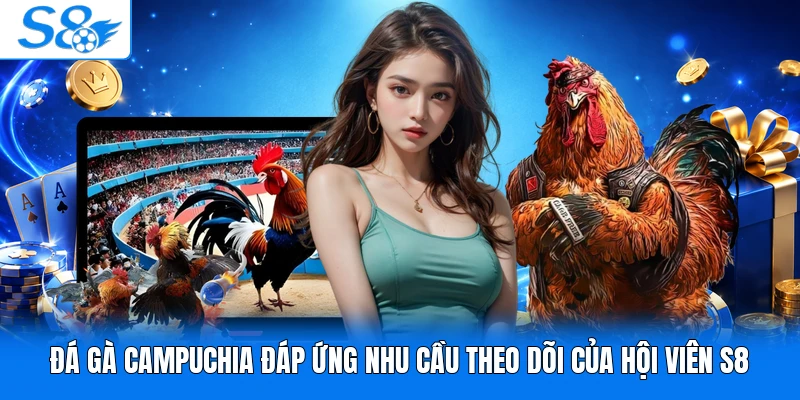Đá gà Campuchia đáp ứng nhu cầu theo dõi của hội viên S8